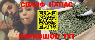 ГАЛЛЮЦИНОГЕННЫЕ ГРИБЫ Беслан