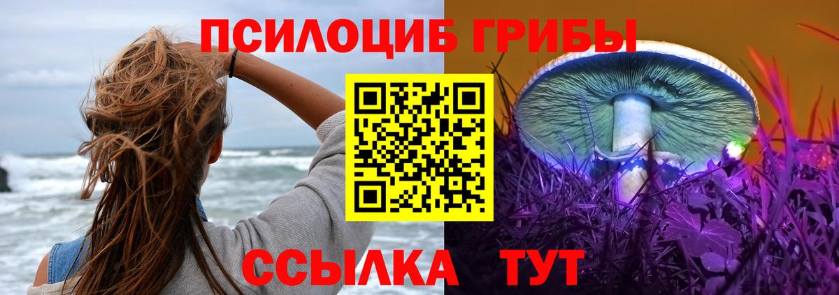 Заводоуковск  Галлюциногенные грибы GOLDEN TEACHER  Вход с VPN 