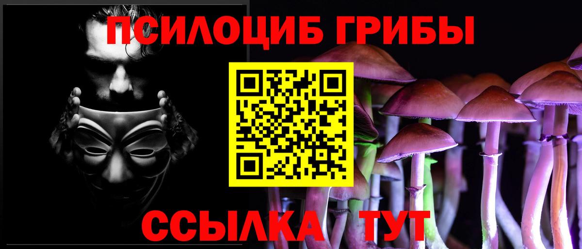 Псилоцибиновые грибы Psilocybine cubensis Заводоуковск